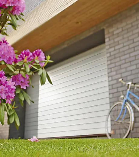 Стандартные цвета Стандартные цвета